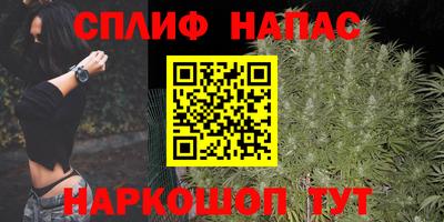 прущие крисы Новозыбков