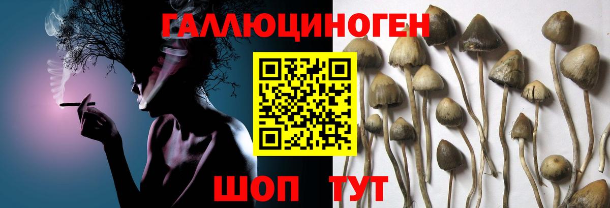 Галлюциногенные грибы прущие грибы  Вход с VPN  Химки 