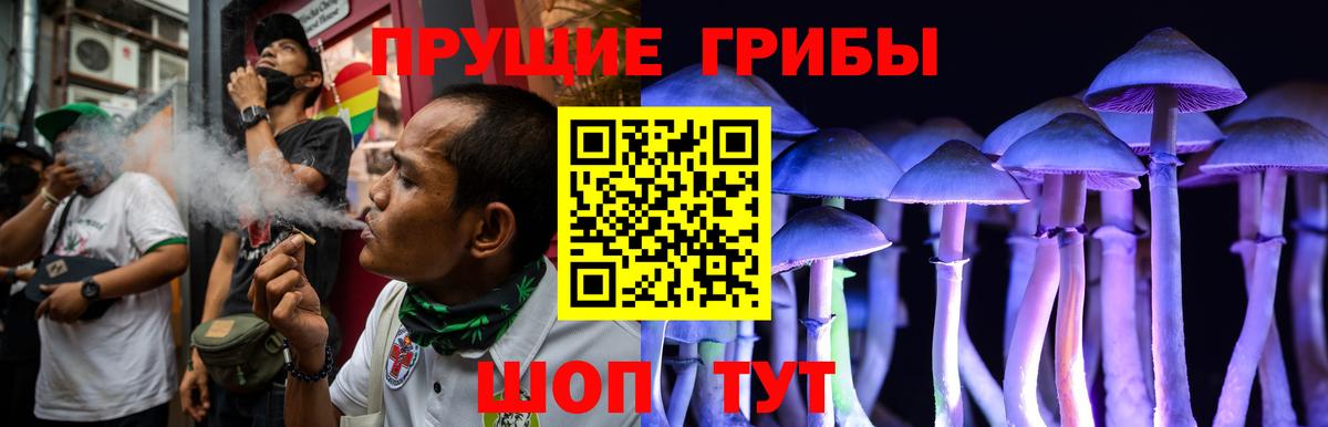 Галлюциногенные грибы Magic Shrooms Химки